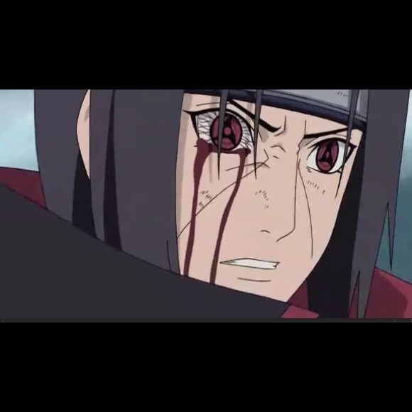 Meet your Posher, Trey - Picture 5 of 8